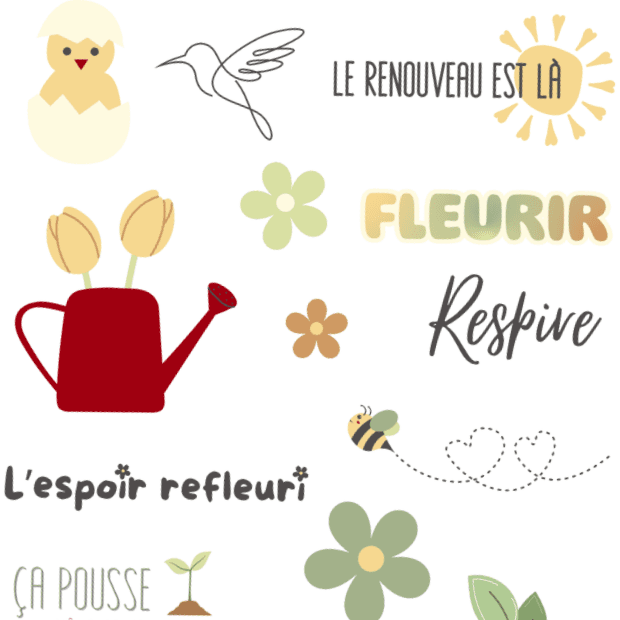 Pack feuilles st valentin